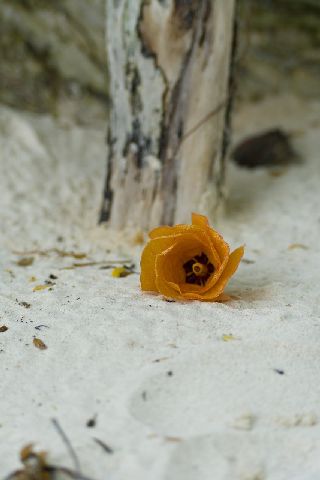 Post photo
