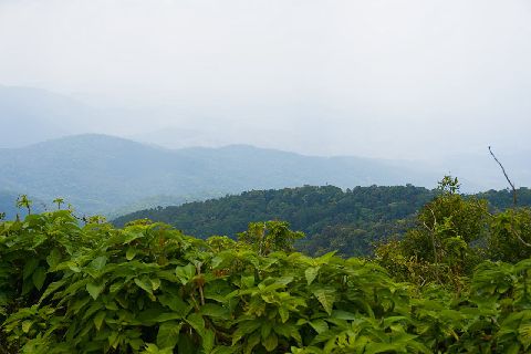 Post photo