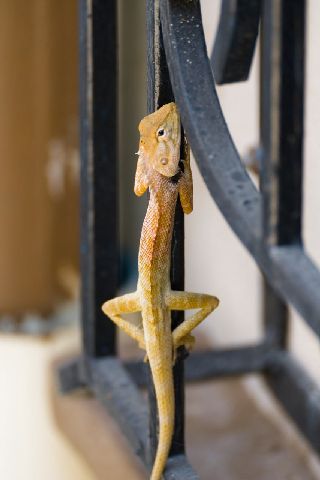 Post photo