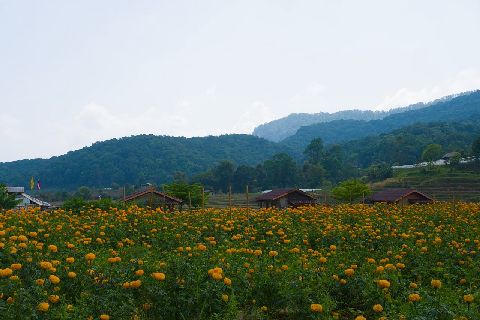 Post photo